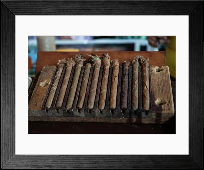Framed Print : Cuba. Cuban cigars in cigar factory Framed Print : Cuba. Cuban cigars in cigar factory