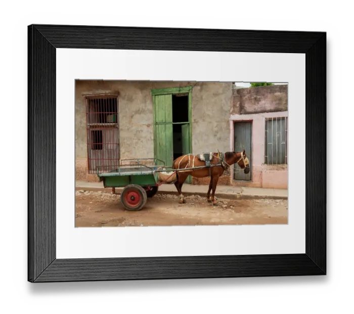 Framed Print : Trinidad, Cuba. An old horse in the streets of Trinidad Framed Print : Trinidad, Cuba. An old horse in the streets of Trinidad