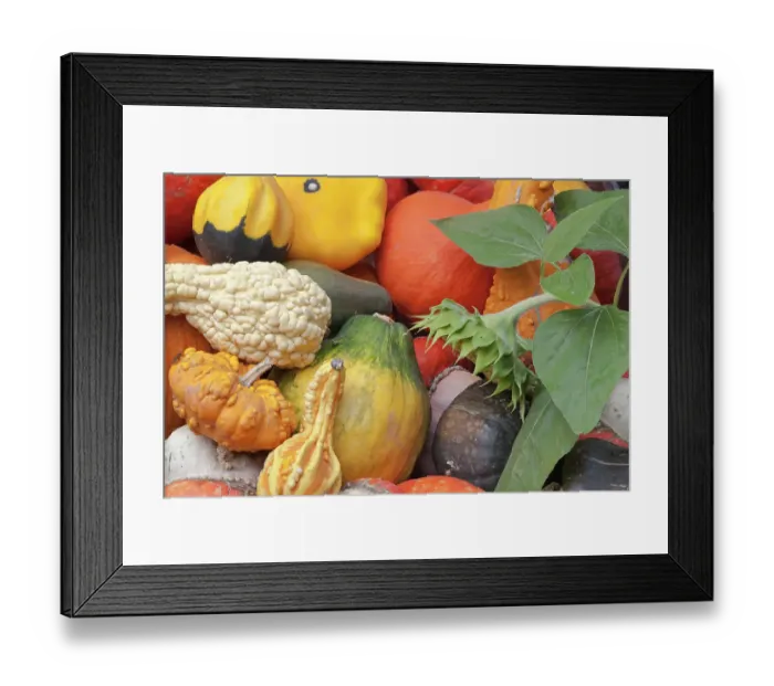 Framed Print : Canada, British Columbia, Keremeos. Close-up of winter squash at vendor stand. ©Don Paulson / Jaynes Gallery / DanitaDelimont.com Framed Print : Canada, British Columbia, Keremeos. Close-up of winter squash at vendor stand. ©Don Paulson / Jaynes Gallery / DanitaDelimont.com