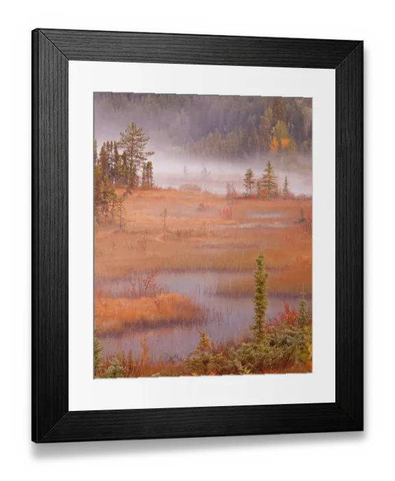 Framed Print : Canada, British Columbia, Mount Robson Provincial Park. Landscape with foggy marsh in autumn. ©Don Paulson / Jaynes Gallery / DanitaDelimont.com Framed Print : Canada, British Columbia, Mount Robson Provincial Park. Landscape with foggy marsh in autumn. ©Don Paulson / Jaynes Gallery / DanitaDelimont.com