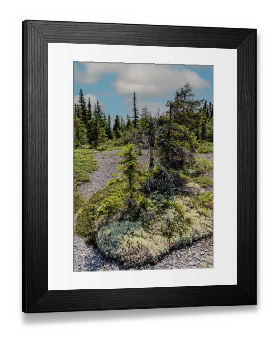 Framed Print : Quebec, Havre-Saint-Pierre, Canada. Archipelago National Park Framed Print : Quebec, Havre-Saint-Pierre, Canada. Archipelago National Park