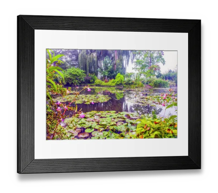 Framed Print : Giverny, France. Wide angle landscape view of Claude Monet's water gardens in the village of Giverny Framed Print : Giverny, France. Wide angle landscape view of Claude Monet's water gardens in the village of Giverny