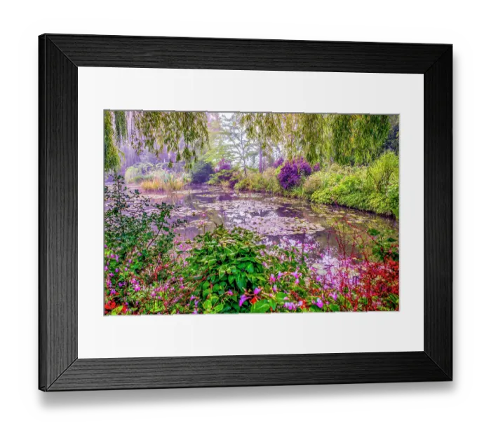 Framed Print : Giverny, France. Landscape view of Claude Monet's Japanese water gardens in the village of Giverny Framed Print : Giverny, France. Landscape view of Claude Monet's Japanese water gardens in the village of Giverny