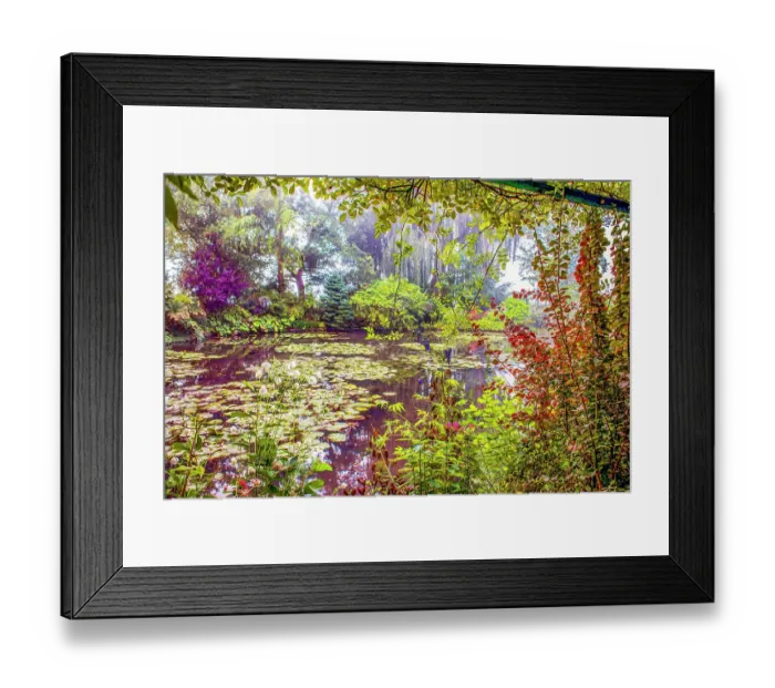 Framed Print : Giverny, France. Landscape view of Claude Monet's famous Japanese water garden Framed Print : Giverny, France. Landscape view of Claude Monet's famous Japanese water garden