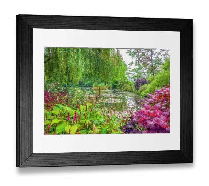 Framed Print : Giverny, France. Landscape view of Claude Monet's Japanese water gardens in the village of Giverny Framed Print : Giverny, France. Landscape view of Claude Monet's Japanese water gardens in the village of Giverny