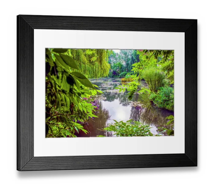 Framed Print : Giverny, France. Wide angle landscape view of Claude Monet's Japanese water gardens in the village of Giverny Framed Print : Giverny, France. Wide angle landscape view of Claude Monet's Japanese water gardens in the village of Giverny