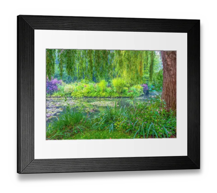 Framed Print : Giverny, France. Landscape view of Claude Monet's Japanese water gardens in the village of Giverny Framed Print : Giverny, France. Landscape view of Claude Monet's Japanese water gardens in the village of Giverny