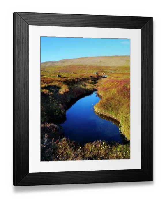Framed Print : Iceland, colors of fall in Middalur at Steingrimsfjardarheidi during autumn Framed Print : Iceland, colors of fall in Middalur at Steingrimsfjardarheidi during autumn