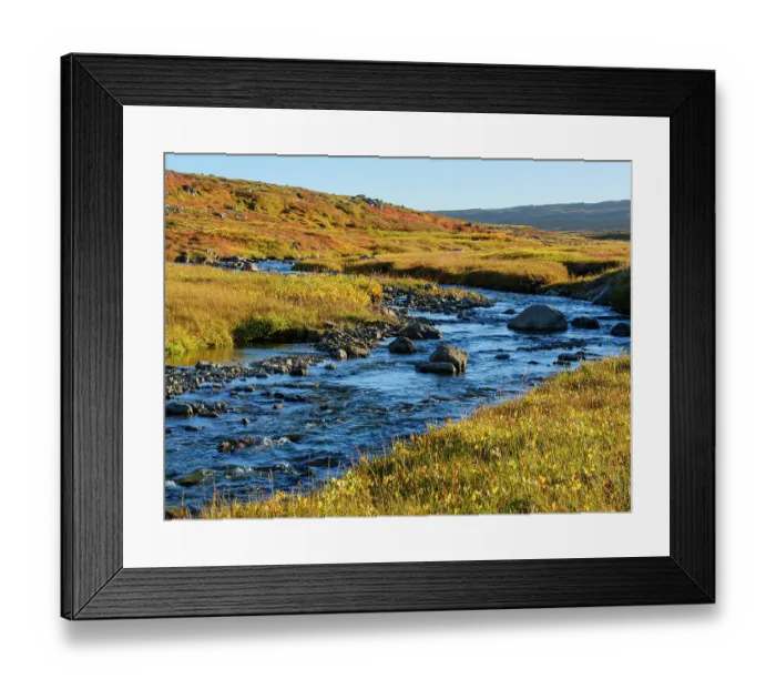Framed Print : Iceland, colors of fall in Middalur at Steingrimsfjardarheidi during autumn Framed Print : Iceland, colors of fall in Middalur at Steingrimsfjardarheidi during autumn