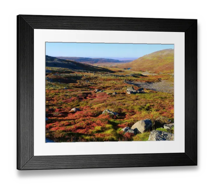 Framed Print : Iceland, colors of fall in Middalur at Steingrimsfjardarheidi during autumn Framed Print : Iceland, colors of fall in Middalur at Steingrimsfjardarheidi during autumn