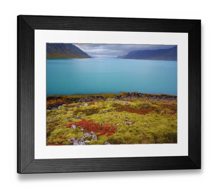 Framed Print : Iceland. Fjord Borgarfjordur and Arnarfjordur during autumn Framed Print : Iceland. Fjord Borgarfjordur and Arnarfjordur during autumn