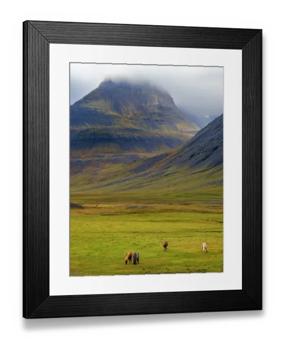 Framed Print : Iceland. Haukadalur in Dyrafjordur during autumn Framed Print : Iceland. Haukadalur in Dyrafjordur during autumn