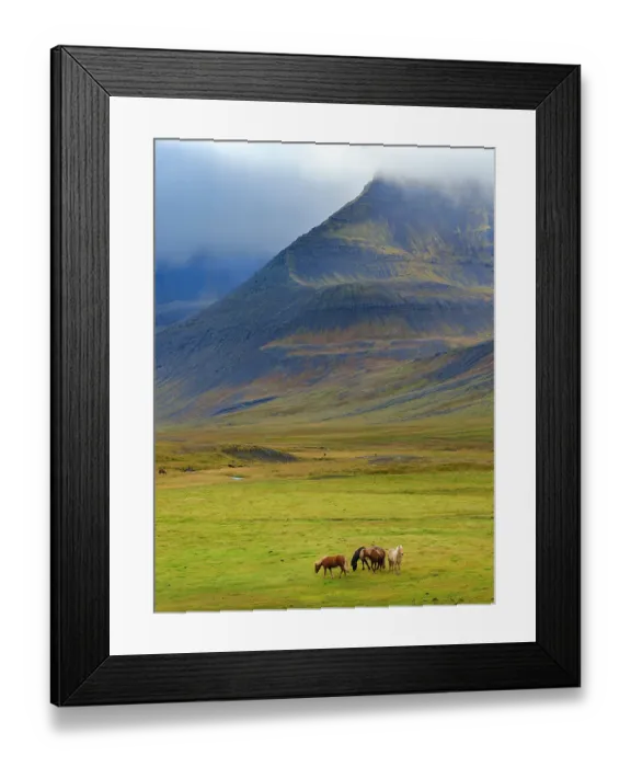 Framed Print : Iceland. Haukadalur in Dyrafjordur during autumn Framed Print : Iceland. Haukadalur in Dyrafjordur during autumn