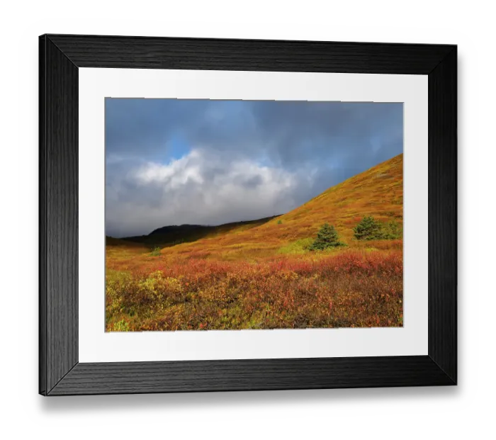 Framed Print : Iceland. Landscape in Tungudalur during autumn Framed Print : Iceland. Landscape in Tungudalur during autumn