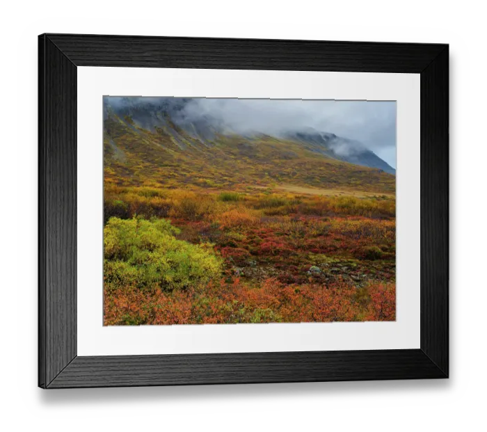 Framed Print : Iceland. Sunndalur in Trostansfjordur during autumn Framed Print : Iceland. Sunndalur in Trostansfjordur during autumn