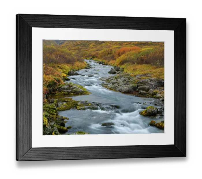 Framed Print : Iceland. Sunndalur in Trostansfjordur during autumn Framed Print : Iceland. Sunndalur in Trostansfjordur during autumn