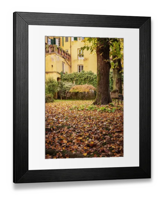 Framed Print : Beautiful courtyard in Lucca, Italy in autumn Framed Print : Beautiful courtyard in Lucca, Italy in autumn
