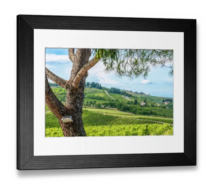 Framed Print : Greve in Chianti, Tuscany, Italy. Landscape view across vineyards and cypress trees surrounding small town famous for Chianti wine Framed Print : Greve in Chianti, Tuscany, Italy. Landscape view across vineyards and cypress trees surrounding small town famous for Chianti wine