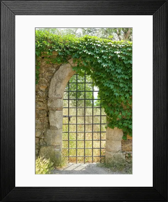 Framed Print : Tomar, Portugal. Old medieval gate Framed Print : Tomar, Portugal. Old medieval gate