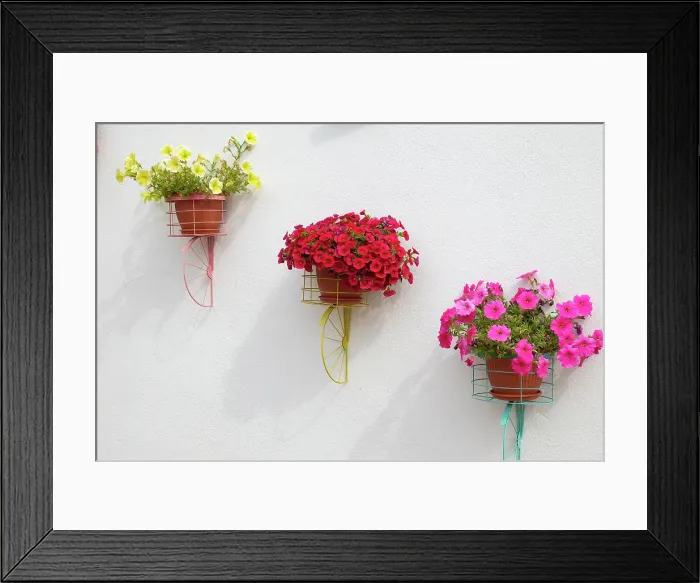 Framed Print : Tomar, Portugal. Pots of colorful flowers blooming in the summer on the street Framed Print : Tomar, Portugal. Pots of colorful flowers blooming in the summer on the street