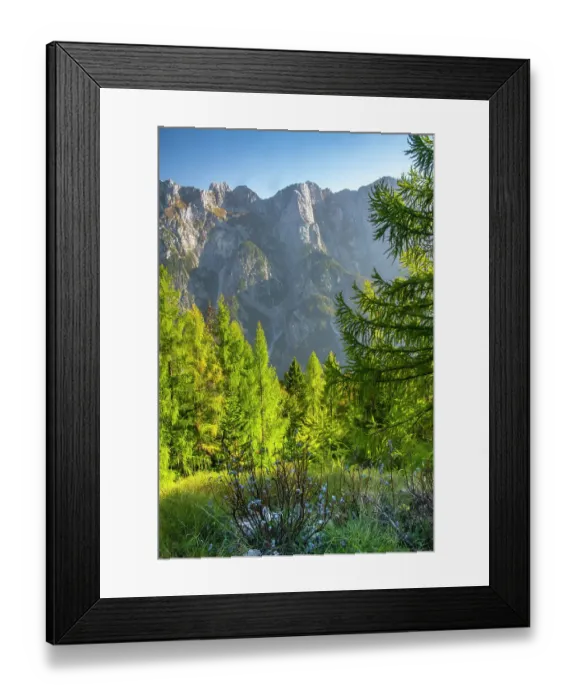 Framed Print : Slovenia, Triglav National Park. Landscape with forest and Julian Alps. ©Cathy & Gordon Illg / Jaynes Gallery / DanitaDelimont.com Framed Print : Slovenia, Triglav National Park. Landscape with forest and Julian Alps. ©Cathy & Gordon Illg / Jaynes Gallery / DanitaDelimont.com