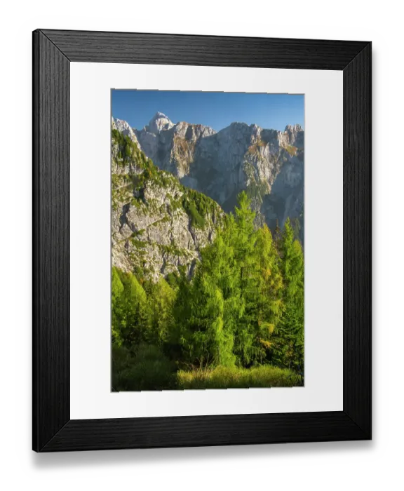 Framed Print : Slovenia, Triglav National Park. Landscape with forest and Julian Alps. ©Cathy & Gordon Illg / Jaynes Gallery / DanitaDelimont.com Framed Print : Slovenia, Triglav National Park. Landscape with forest and Julian Alps. ©Cathy & Gordon Illg / Jaynes Gallery / DanitaDelimont.com