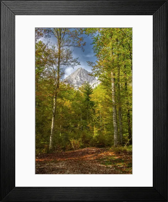 Framed Print : Slovenia, Triglav National Park. Julian Alps and forest in autumn. ©Cathy & Gordon Illg / Jaynes Gallery / DanitaDelimont.com Framed Print : Slovenia, Triglav National Park. Julian Alps and forest in autumn. ©Cathy & Gordon Illg / Jaynes Gallery / DanitaDelimont.com