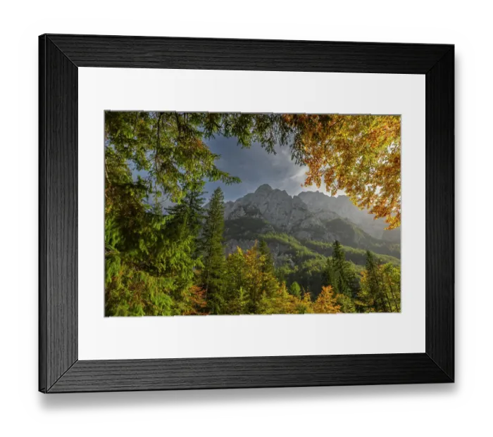 Framed Print : Slovenia, Triglav National Park. Julian Alps and forest in autumn. ©Cathy & Gordon Illg  /  Jaynes Gallery  /  DanitaDelimont.com