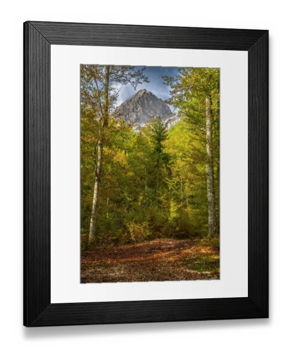 Framed Print : Slovenia, Triglav National Park. Julian Alps and forest in autumn. ©Cathy & Gordon Illg  /  Jaynes Gallery  /  DanitaDelimont.com