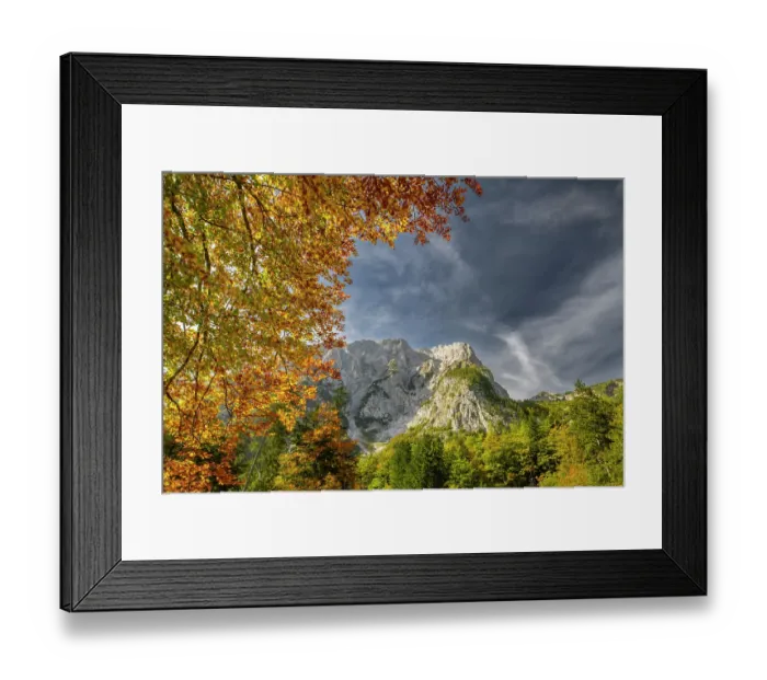 Framed Print : Slovenia, Triglav National Park. Julian Alps and forest in autumn. ©Cathy & Gordon Illg / Jaynes Gallery / DanitaDelimont.com Framed Print : Slovenia, Triglav National Park. Julian Alps and forest in autumn. ©Cathy & Gordon Illg / Jaynes Gallery / DanitaDelimont.com
