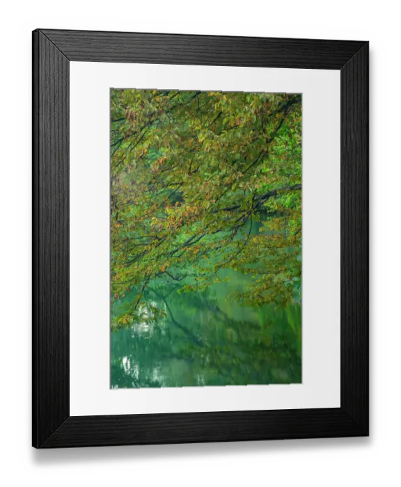 Framed Print : Slovenia, Lake Bled. Autumn tree limbs reflect in lake. ©Cathy & Gordon Illg  /  Jaynes Gallery  /  DanitaDelimont.com
