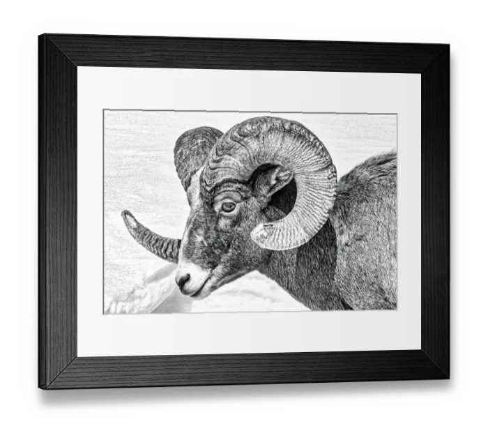 Framed Print : Northern Range of Yellowstone National Park Framed Print : Northern Range of Yellowstone National Park