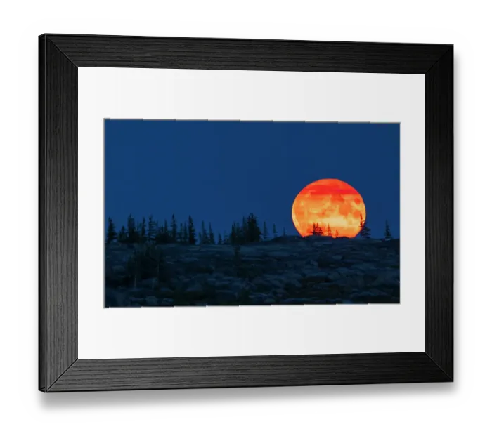 Framed Print : Blue moon rising over the arctic tundra