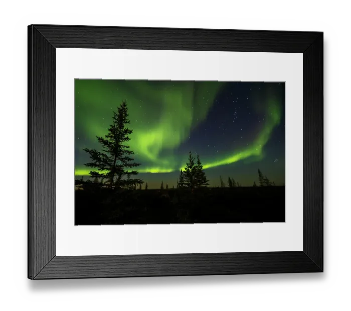 Framed Print : Aurora Borealis, the mystical night lights of the far north Boreal Forest Framed Print : Aurora Borealis, the mystical night lights of the far north Boreal Forest