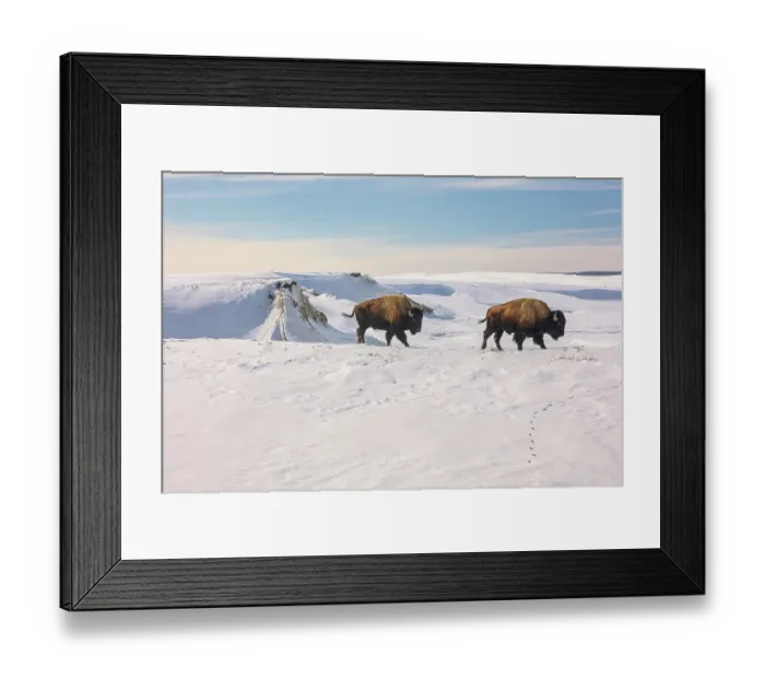 Framed Print : Yellowstone National Park