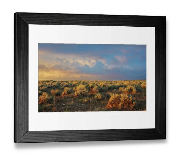 Framed Print : Sunrise over the sage brush landscape of Colorado's sand Wash Basin