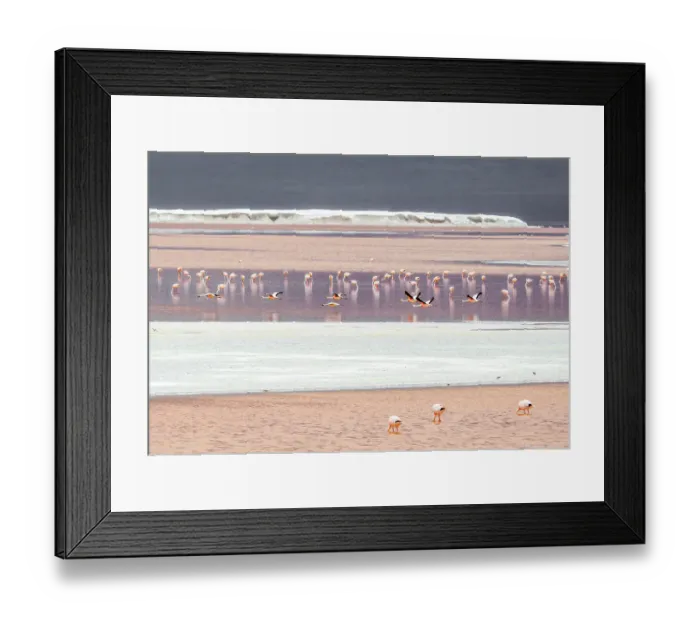 Framed Print : Bolivia, South America. Landscape view of Laguna Colorada, a 15, 000 acres lake with a depth of only about one meter