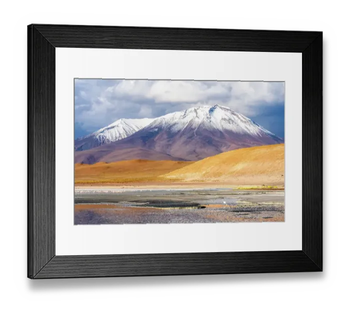 Framed Print : Altiplano, Bolivia. Landscape view of flamingos grazing in Laguna Honda, Deep Lake, with the Andes Mountains behind Framed Print : Altiplano, Bolivia. Landscape view of flamingos grazing in Laguna Honda, Deep Lake, with the Andes Mountains behind