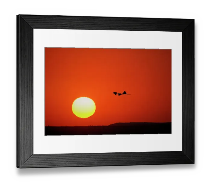 Framed Print : Hyacinth macaws silhouetted at sunset, Pantanal, Brazil Framed Print : Hyacinth macaws silhouetted at sunset, Pantanal, Brazil