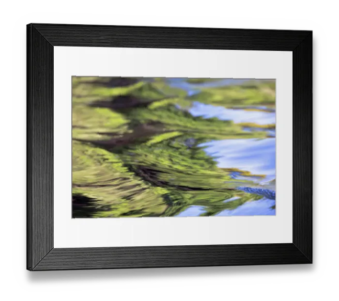 Framed Print : Water reflections behind small boat in the Pantanal region, Mato Grosso, Brazil, South America Framed Print : Water reflections behind small boat in the Pantanal region, Mato Grosso, Brazil, South America
