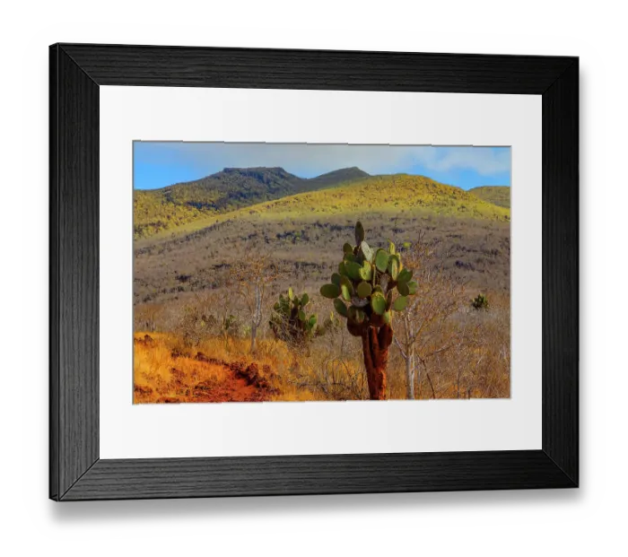 Framed Print : Landscape shot taken at the highest elevation of Isabela Island above Darwin Lake and Tagus Cove Framed Print : Landscape shot taken at the highest elevation of Isabela Island above Darwin Lake and Tagus Cove