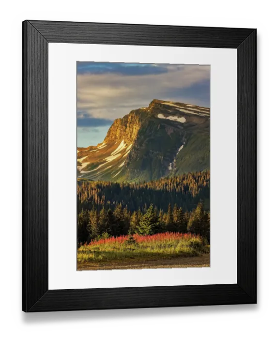 Framed Print : Fireweed in meadow and distant mountain, Lake Clark National Park and Preserve, Alaska Framed Print : Fireweed in meadow and distant mountain, Lake Clark National Park and Preserve, Alaska