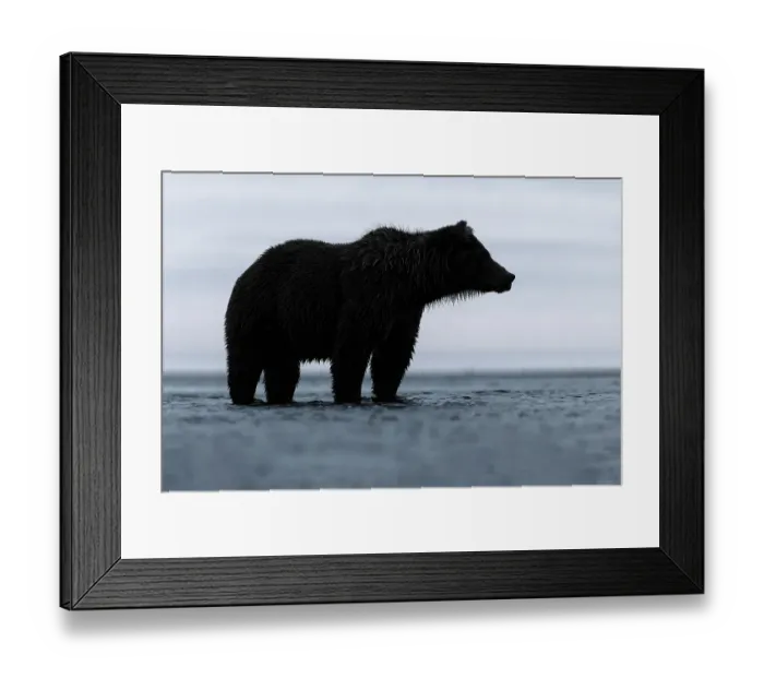 Framed Print : Alaskan brown bear silhouette, Lake Clark National Park and Preserve, Alaska