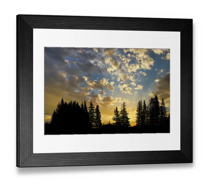 Framed Print : Trees silhouetted at sunrise, Lake Clark National Park and Preserve, Alaska Framed Print : Trees silhouetted at sunrise, Lake Clark National Park and Preserve, Alaska