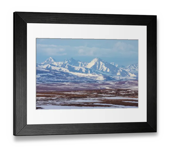 Framed Print : Springtime on the arctic tundra landscape of the Seward Peninsula Framed Print : Springtime on the arctic tundra landscape of the Seward Peninsula
