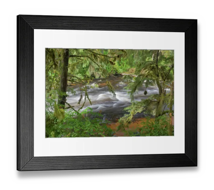 Framed Print : USA, Alaska, Anan Creek. Scenic with rapids and trees. ©Don Paulson  /  Jaynes Gallery  /  DanitaDelimont.com