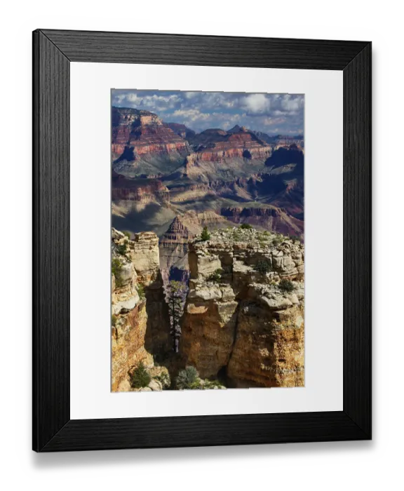Framed Print : Grand Canyon National Park, Arizona Framed Print : Grand Canyon National Park, Arizona