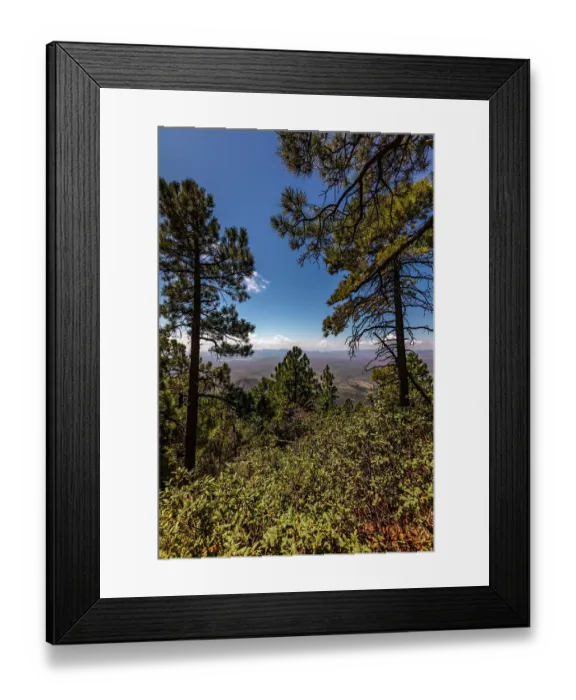 Framed Print : Looking south towards Mexico atop Mt. Graham in the Coronado National Forest Framed Print : Looking south towards Mexico atop Mt. Graham in the Coronado National Forest
