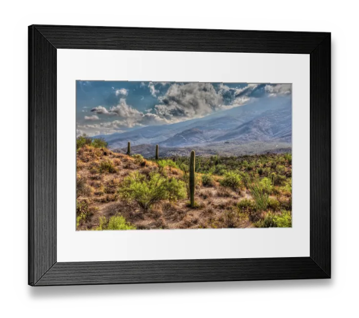 Framed Print : Typical scene in the Sonoran Desert of southern Arizona Framed Print : Typical scene in the Sonoran Desert of southern Arizona