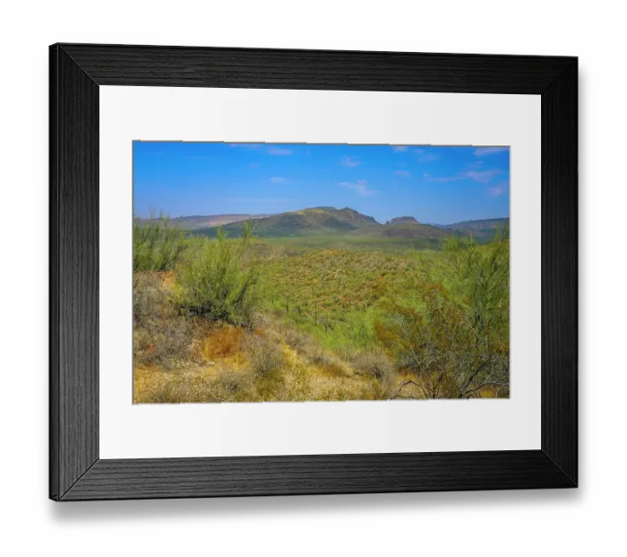 Framed Print : Saguaro cactus and other plants suited for extremely dry conditions typify the Sonoran desert